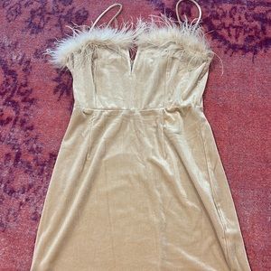 Erika Feather Trim Mini Dress in Champagne